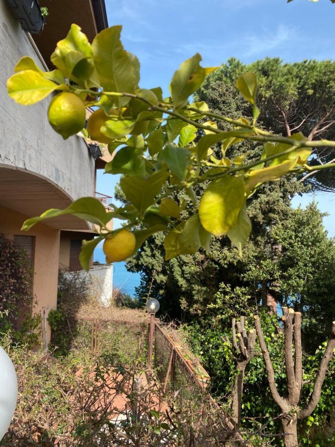 포르투산투스테파노 Argentario… Tutto Da Scoprire 아파트 외부 사진